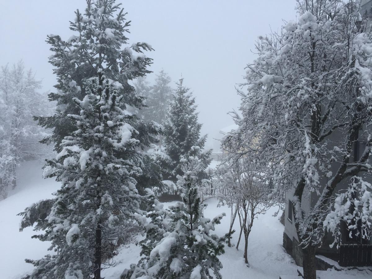 Disentis Διαμέρισμα Εξωτερικό φωτογραφία