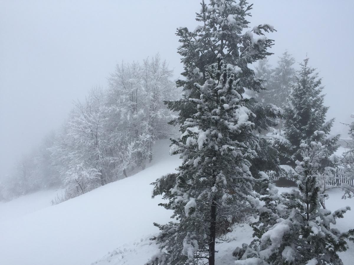 Disentis Διαμέρισμα Εξωτερικό φωτογραφία